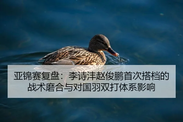 亚锦赛复盘：李诗沣赵俊鹏首次搭档的战术磨合与对国羽双打体系影响